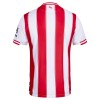 Maillot de Foot Brentford Domicile 2025-26